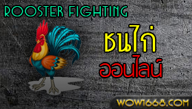 ชนไก่ออนไลน์