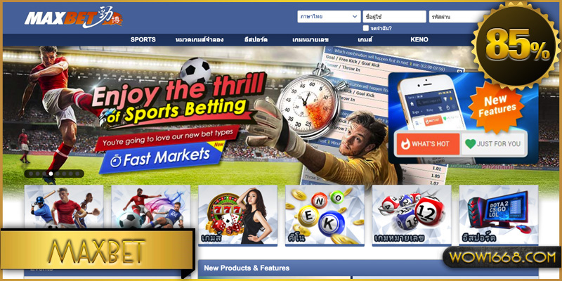 ibcbet สปอร์ตออนไลน์