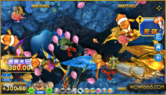 fish hunter jack88