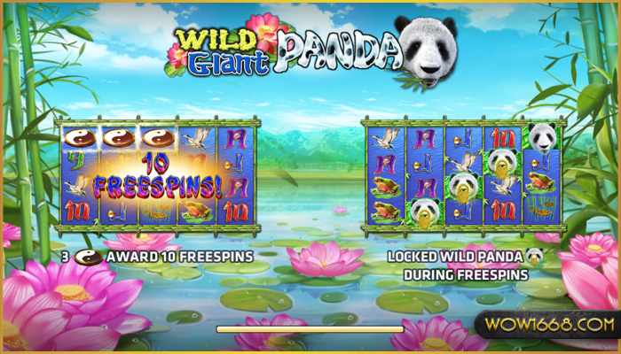 สล็อตเกม Giant Panda