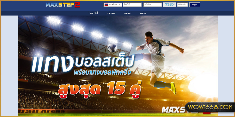 บอลสเต็ป maxstep2